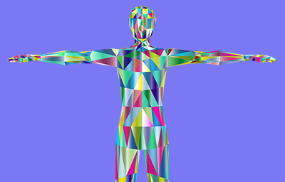Human Anatomy and Physiology II