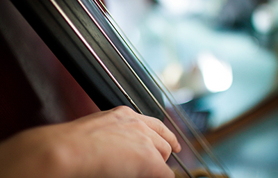 Chamber Orchestra