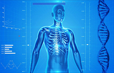 Human Anatomy and Physiology I