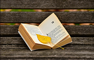 IB Literature and Performance SL