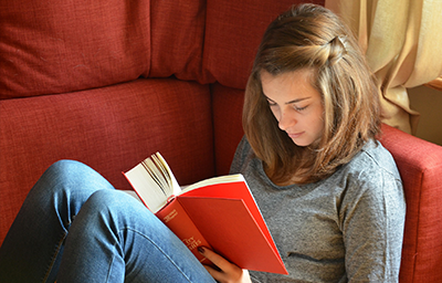 IB Literature HL