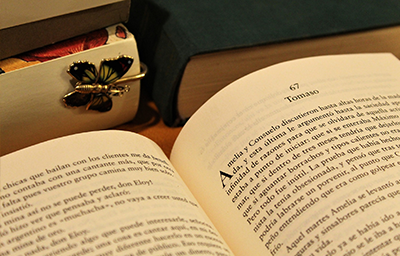 IB Language and Literature SL, Language A (Spanish Immersion)