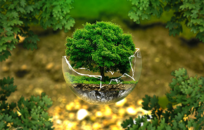 AP Environmental Science