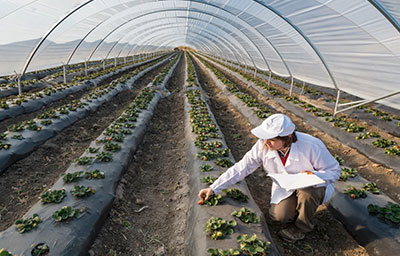 Global Sustainability (VANTAGE)