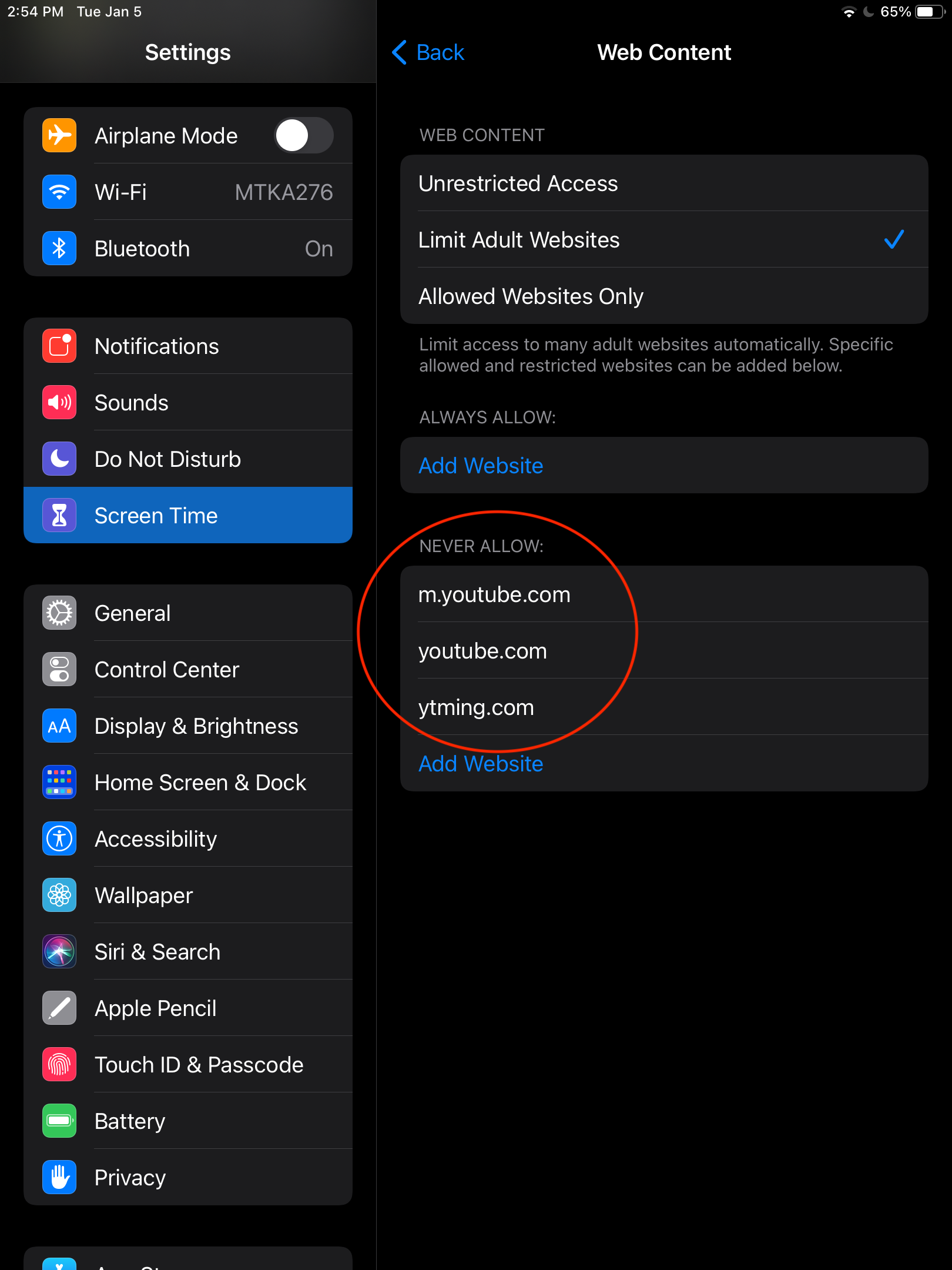 YouTube Screen Time Web Content Restrictions