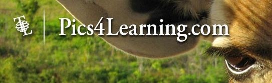 Pics4Learning Copyright-Free Images